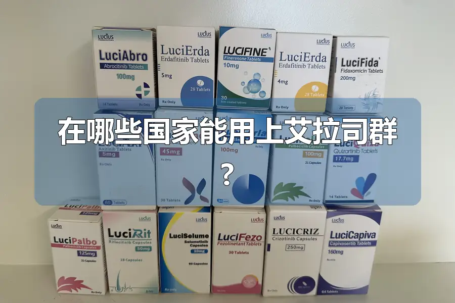 在哪些国家能用上艾拉司群?